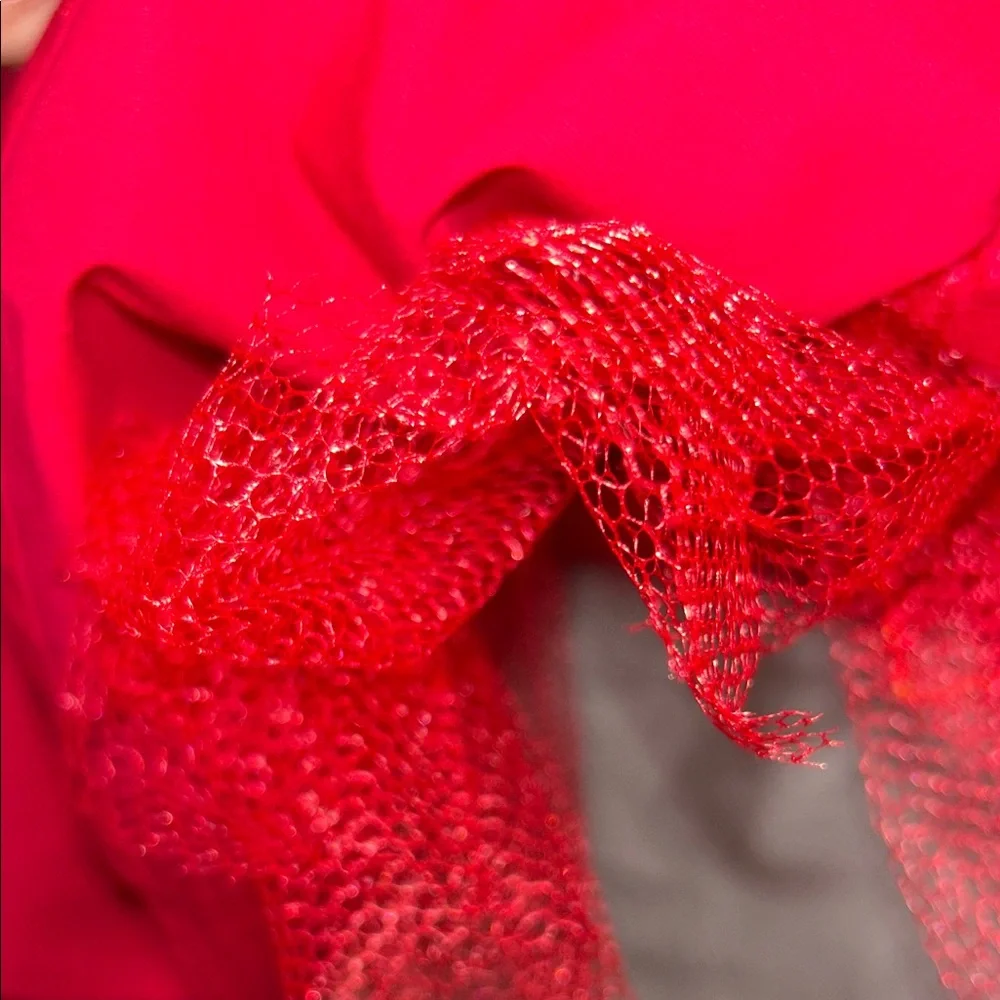 Red Poodle Skirt - Picture 6 of 8